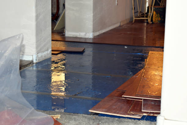 Professional Sewage Cleanup technician working in Altair, TX